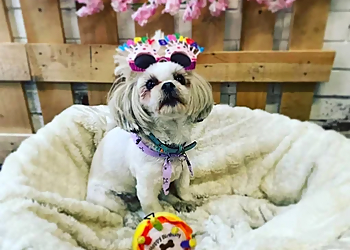 Muddy Pawz Serenity Ltd