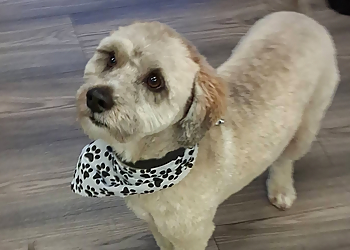 Muddy hounds grooming services