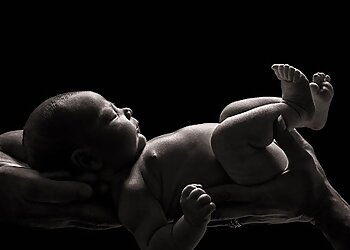 Musselwhite Photography