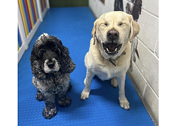 Muttley & Mabel Muttley & Mabel