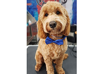 Mutz & Cutz Mutz & Cutz