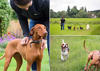 My Best Friend Dog Care