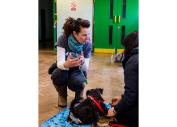 dog training solihull