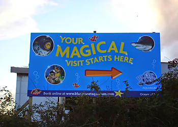 N Digital Print & Sign Ltd