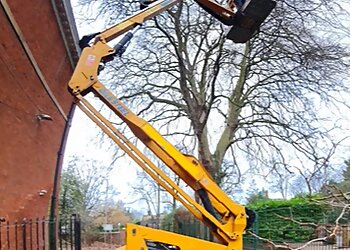 NGS Tree & Hedge Care