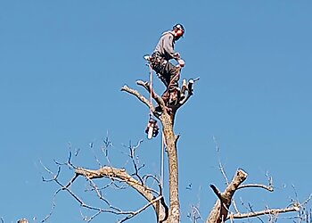 N J Apps Tree Surgery & Fencing