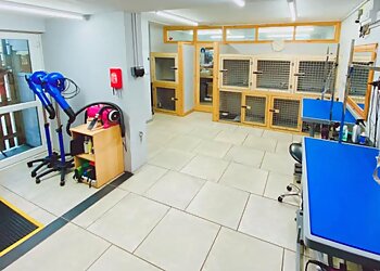 Natalie's Dog Grooming Centre Ltd