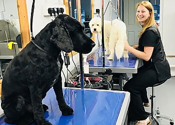 Natalie's Dog Grooming Centre Ltd