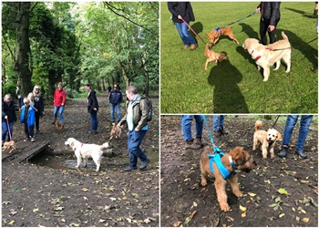 Nathan Watson Dog Behaviour