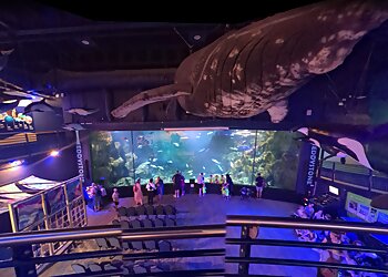 National Marine Aquarium