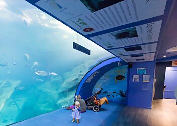 National Marine Aquarium