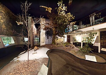 National Museum Cardiff