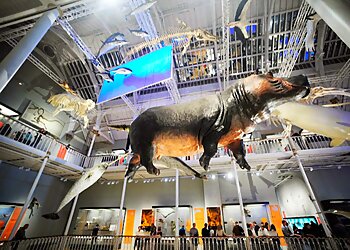 National Museum of Scotland