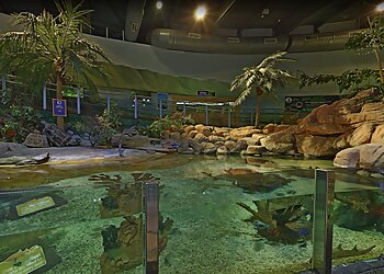National SEA LIFE Centre Birmingham