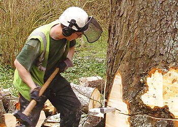 Neill Gretton Tree Surgeon and Arboriculturalist