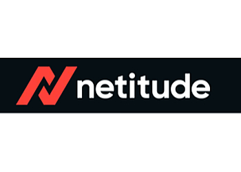 Netitude Ltd.