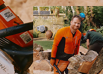 Newcastle Tree Services