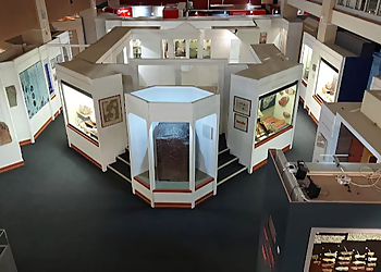 Newport Museum and Art Gallery