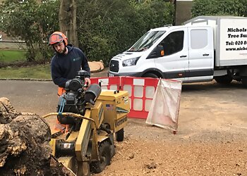 Nichols and Sons Tree Surgeons
