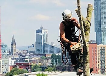 Nick Bailey Tree Services Ltd