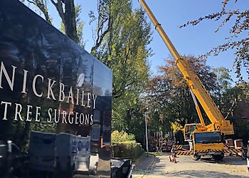 Nick Bailey Tree Services Ltd
