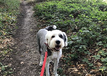 Nicola's Dog Walking & Pet Care