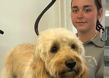 Noah's Ark Pet Holiday Home