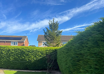 Nolan's Tree Services