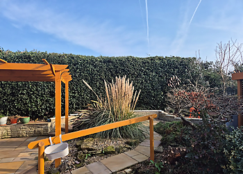 Nolan's Tree Services