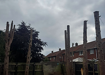 Nolan's Tree Services