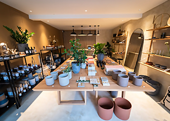 Nordic Muse Lifestyle Store