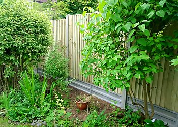 Norfolk Prestige Fencing Ltd