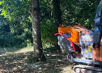 Norrie Sloan Tree Services