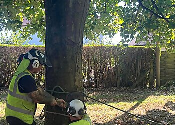 Norrie Sloan Tree Services