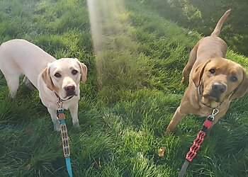 North Ayrshire Pet Sitters