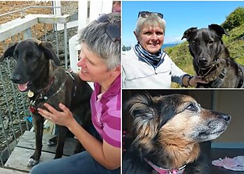 North Ayrshire Pet Sitters