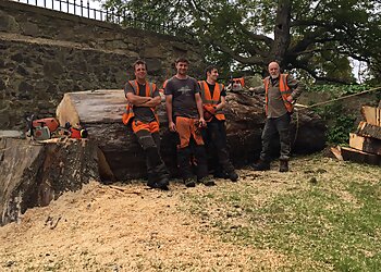 North Cheshire Forestry Ltd