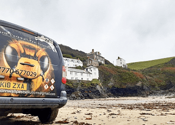 North Cornwall Pest Solutions