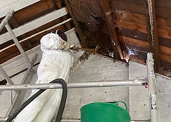 North Essex Pest Control