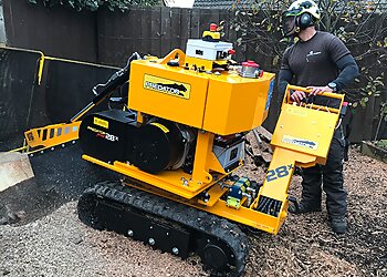 NorthWest Trees & Stumps