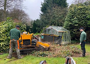 NorthWest Trees & Stumps