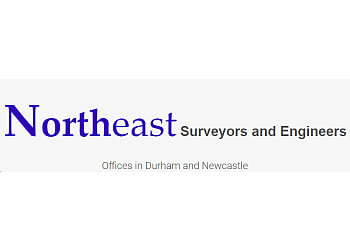 Northeast Surveyors and Engineers