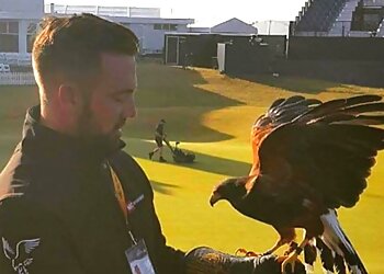 Northern Pest Management