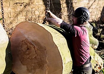 Northern Tree Services