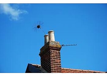 Northwest Chimney Sweep