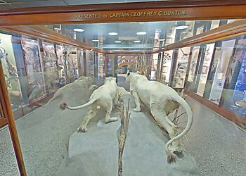 Norwich Castle Museum & Art Gallery