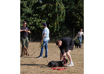 Norwich Dog Training School