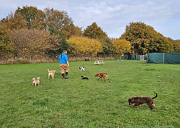 Nose 2 Tail Animal Care