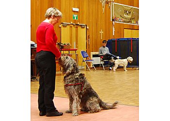Nottingham Dog Trainer