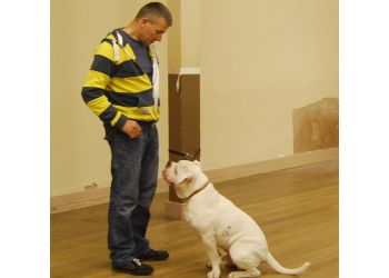 Nottingham Dog Trainer